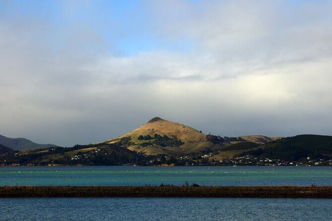 Heritage City and Larnach Castle Van tour with Historian Guide - High Street and the Devil’s Half Acre: wealth, consulting rooms, and shadowy corners