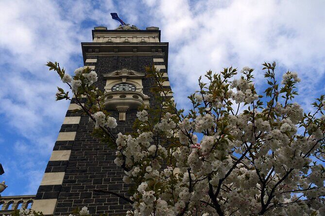 Heritage Dunedin City Walking Guided Tour - What the Guides Really Add: Humor, Personal Perspective, and Darker Drama
