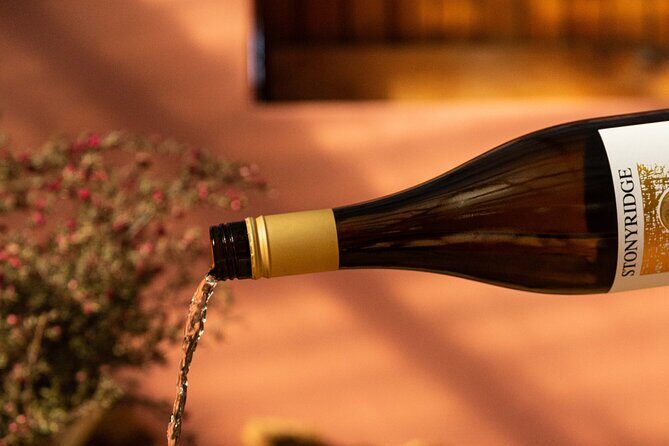 High End Sommelier Tour on Waiheke Island - Why Waiheke’s High-End Sommelier Tour Feels Different
