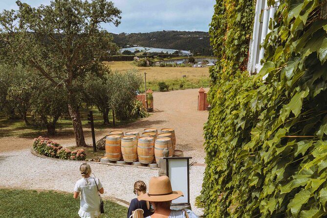 High End Sommelier Tour on Waiheke Island - Lunch on Waiheke: The 2-Course Meal Paired with Views