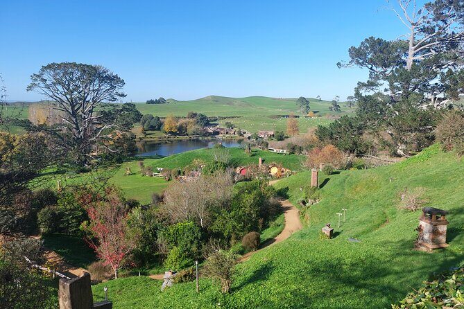 Hobbiton Afternoon Tour in Luxury Minibus from Auckland - Timing That Lets You Enjoy Auckland in the Morning