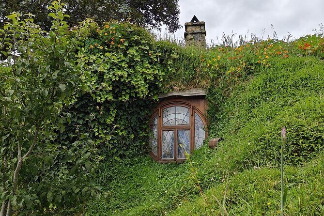 Hobbiton Movie Set Guided Day Tour with Lunch from Auckland - Price and value: what $204.79 covers (and why it can be fair)