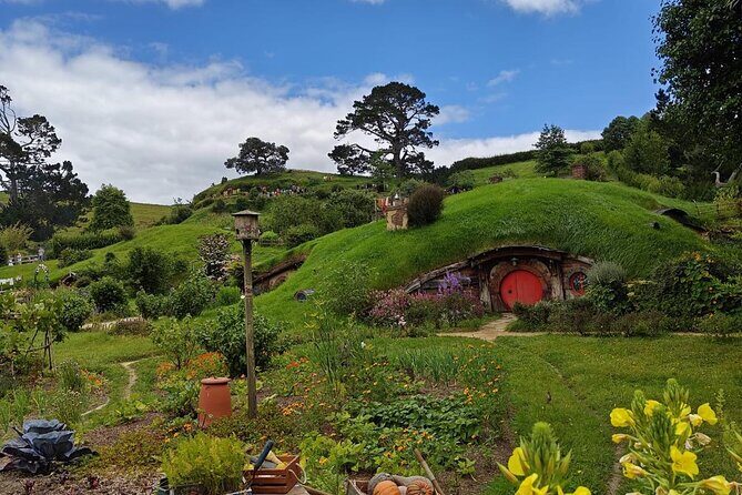 Hobbiton Movie Set Guided Day Tour with Lunch from Auckland - Who this tour is best for (and who might want alternatives)