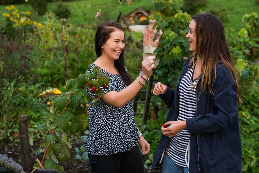 Hobbiton Movie Set & Rotorua Premium Day Tour from Auckland - Price and value: what $269 buys in plain terms
