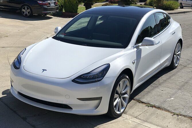 Hobbiton Movie Set Small Group Private Transfer from Auckland - The Tesla Model 3 experience and the Hamilton charging stops