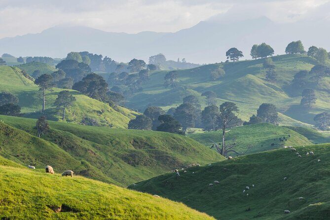 Hobbiton Movie Set Small Tour from Auckland - A long day from Auckland that still feels worth it