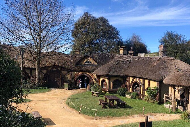 Hobbiton movie set tour and a lot more beautiful NZ sights - Kaimai Mamaku Conservation Park: fresh spring water and real nature time