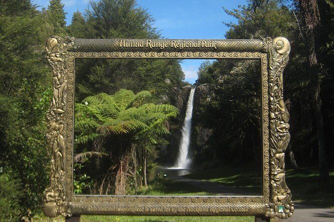 Hobbiton Movie Set Tour from Auckland - Booking tips for a smooth pickup and happier timing