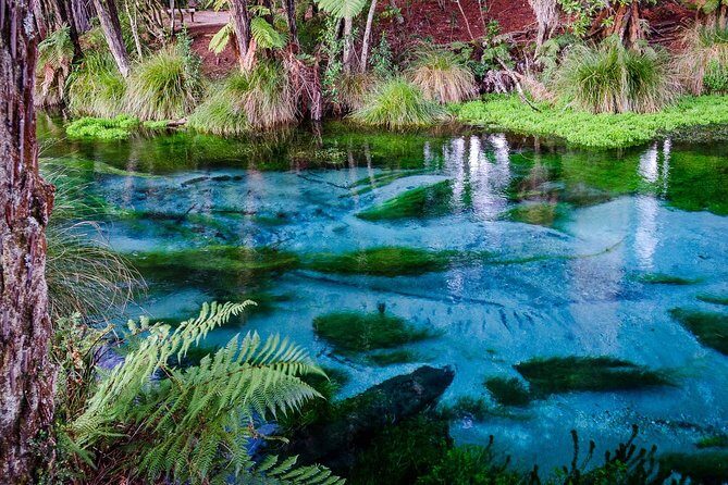 Hobbiton Movie Set tour & Glowworm Cave day tour - The 6:30am start: worth it, but don’t wing it