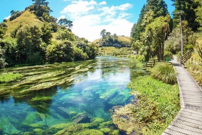 Hobbiton Movie Set Tour to Blue Springs and Mineral Spa - Blue Spring: walking along the clear water in about 1 hour 10 minutes