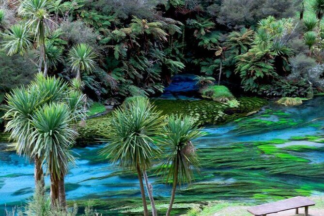 Hobbiton Movie Set Tour to Blue Springs and Mineral Spa - The return to Auckland: you’ll be glad it’s scheduled