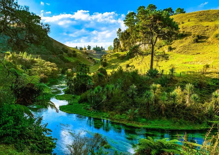 Hobbiton Movie Set Tour to Blue Springs and Waitomo caves - Waitomo glowworm caves: a boat ride through the glow