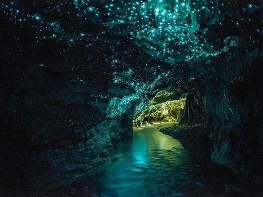 Hobbiton Movie Set Tour to Blue Springs and Waitomo caves - Blue Springs: clear water, birds-and-insects calm