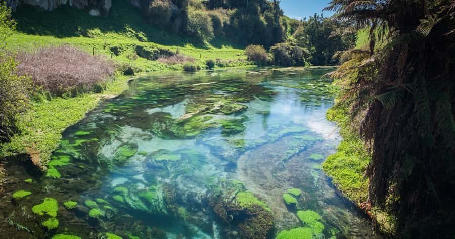 Hobbiton Movie Set Tour to Blue Springs and Waitomo caves - Pickup and timing: where this tour wins in real life
