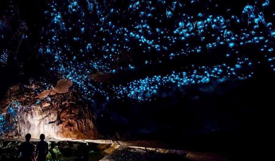 Hobbiton Movie Set Tour to Blue Springs and Waitomo caves - Who this tour fits best (and who should reconsider)