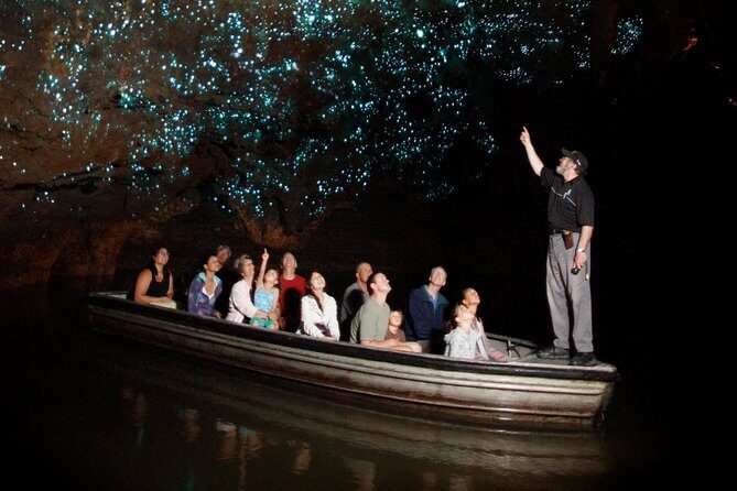 Hobbiton & Waitomo Caves Exclusive Luxury Day Tour From Auckland - Key highlights worth planning for