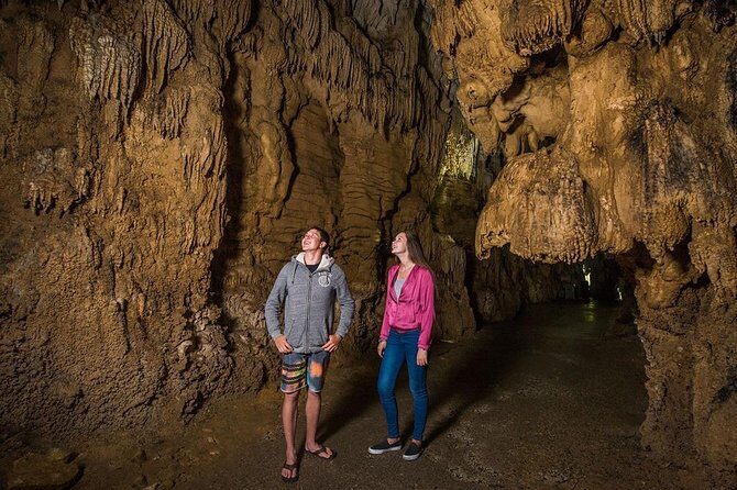 Hobbiton & Waitomo Caves Small Group Tour from Auckland inc Lunch - Hobbiton Movie Set: a guided 2.5-hour look at the 12-acre film world