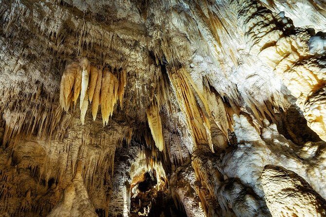 Hobbiton & Waitomo Caves Small Group Tour from Auckland inc Lunch - Waitomo Glowworm Caves: guided caves, formations, and glowworm magic