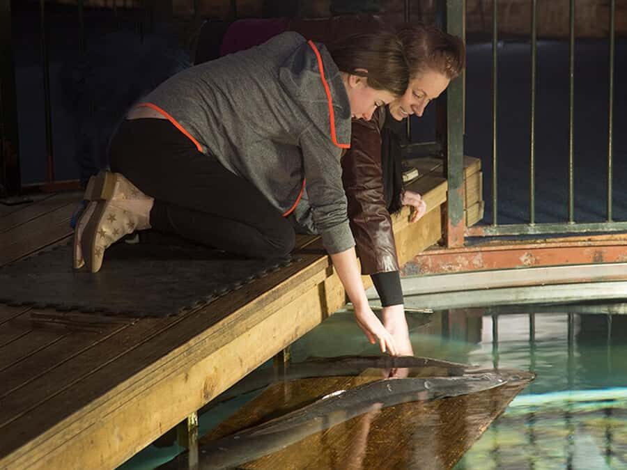 Hokitika: The National Kiwi Centre Tickets - More than kiwi: tuatara, crayfish, and whitebait