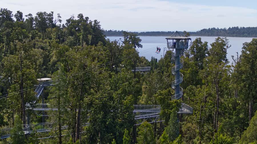 Hokitika: West Coast Tree Top Tower Zip Line and Walk - Key things to know before you go