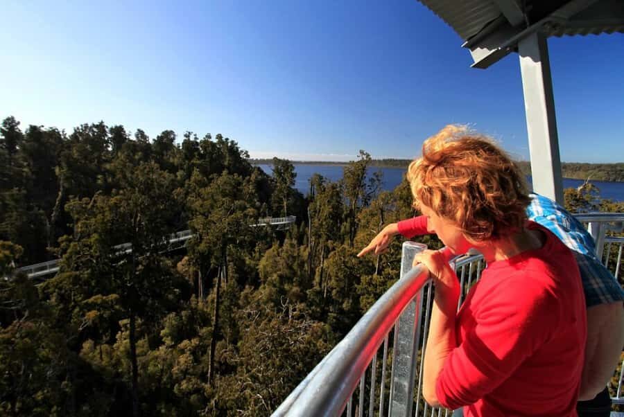 Hokitika: West Coast Tree Top Tower Zip Line and Walk - Hokitika treetops: walk, tower views, and the 425-meter zip