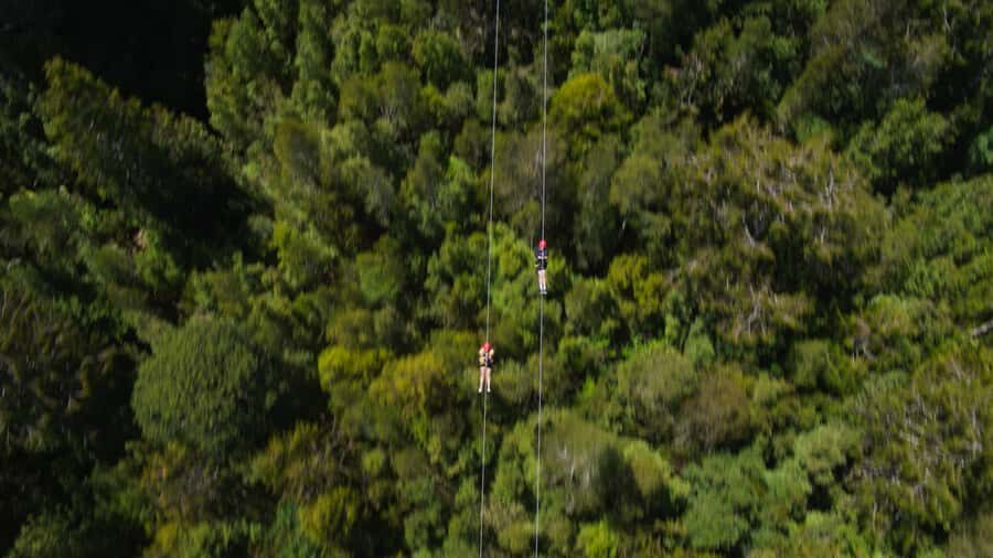 Hokitika: West Coast Tree Top Tower Zip Line and Walk - Cafe time after: refuel without leaving the site