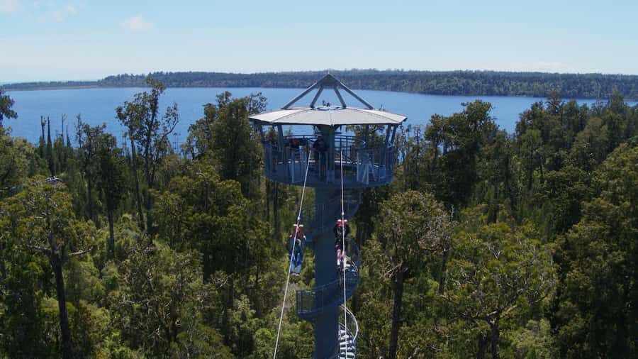 Hokitika: West Coast Tree Top Tower Zip Line and Walk - Meeting at 1128 Woodstock-Rimu Road and getting fitted fast