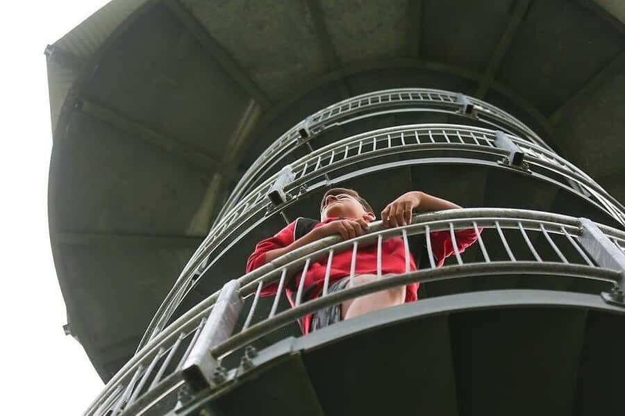 Hokitika: West Coast Treetop Walkway Entrance Ticket - Key highlights you’ll care about