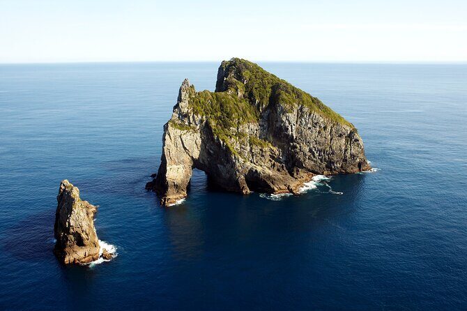 Hole in the Rock Cruise & Island Stopover (Half Day) - Key things that make this cruise work