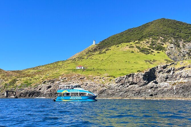 Hole in the Rock Cruise & Island Tour - with two island stopovers - Motuarohia / Roberton Island Stopover: Swim, Snorkel, and Stretch Your Legs