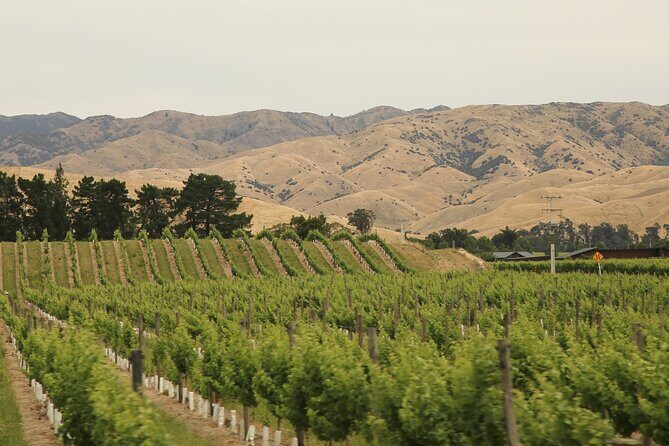 Hop on Hop off Wine Tours Marlborough - Discounts, Dispensers, and How to Get the Most From Short Visits