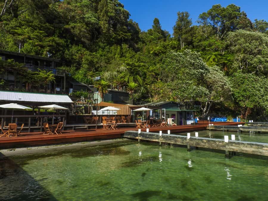 Hot Pools Kayak & Evening Barbecue - From Rotorua pickup to kayak kitting: how the day runs