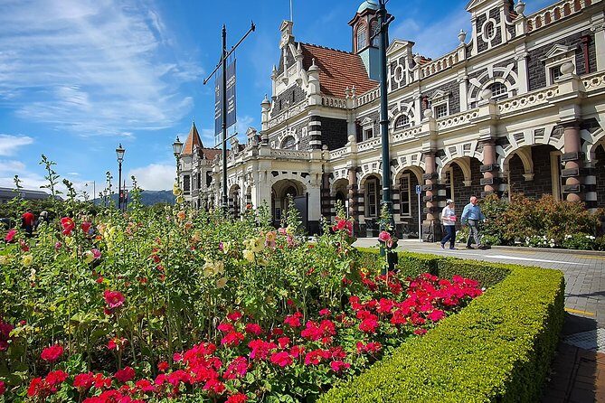 Iconic Shore Excursion: Dunedin City Highlights Tour - A half-day plan that actually works from Port Chalmers