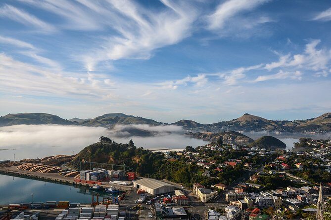 Iconic Shore Excursion: Dunedin City Highlights Tour - Small-group comfort: the difference between seeing and speeding