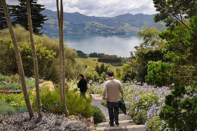 Iconic Shore Excursion: Iconic Larnach Castle Tour - Dunedin Railways Station: Where Your Camera Gets a Workout