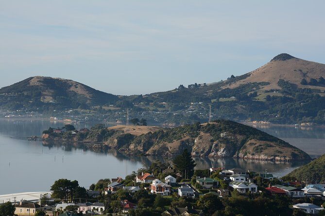 Iconic Wildlife Tour with Yellow Eyed Penguins & Royal Albatross - Otago Peninsula driving: coast time between bird hotspots