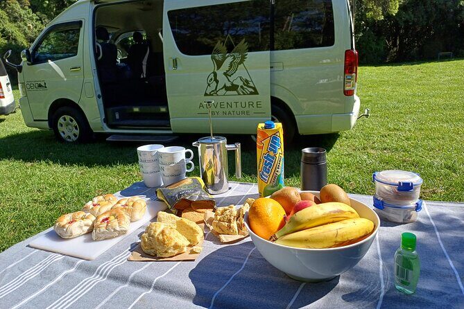 Inland Canterbury & Castle Hill Tour (Lyttelton Shore Excursion) - Practical tips before you go (so the day stays fun)