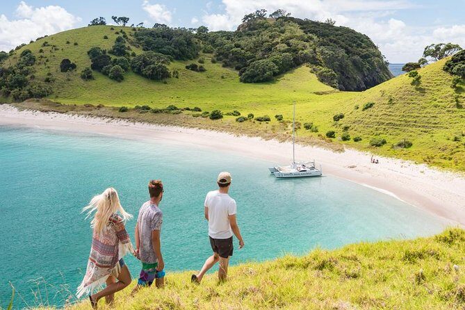Island Hopper Day Cruise - sailing to wildlife sanctuary island - 6 hr cruise - Sailing through the Eastern Bay of Islands: the part that feels like freedom