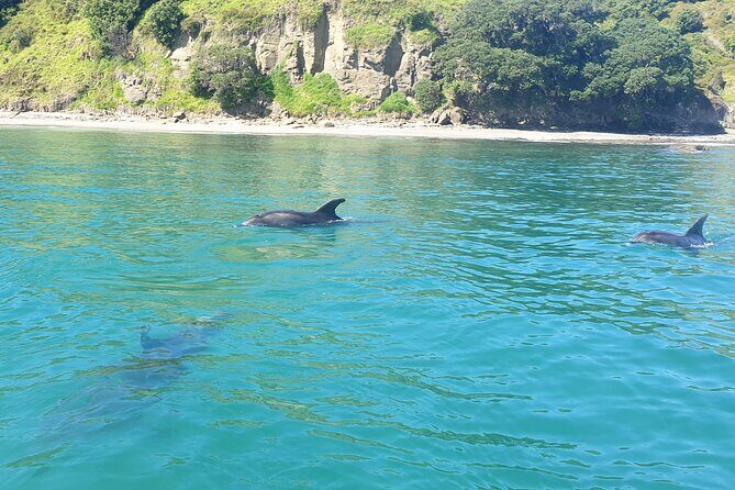 Jet Ski Hire Auckland - Experience the Fun with the Best Operator - Adding Fishing: Gear Included, Setup Ready, You Just Bring Bait