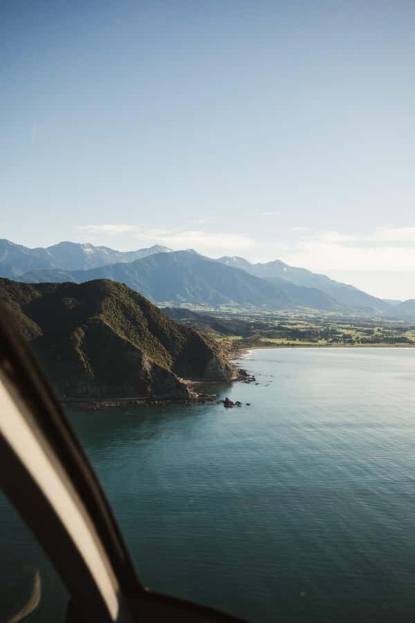 Kaikoura: 1-Hour Whale Watching Helicopter Tour - Wildlife Viewing from Above: Sperm Whales, Dusky Dolphins, and Fur Seals