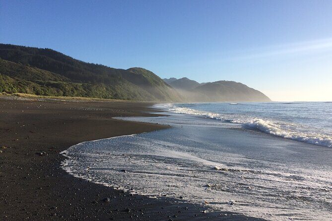 Kaikōura Day Tour From Christchurch (Small Group, Carbon Neutral) - Carbon-neutral transport: what it means for your trip day