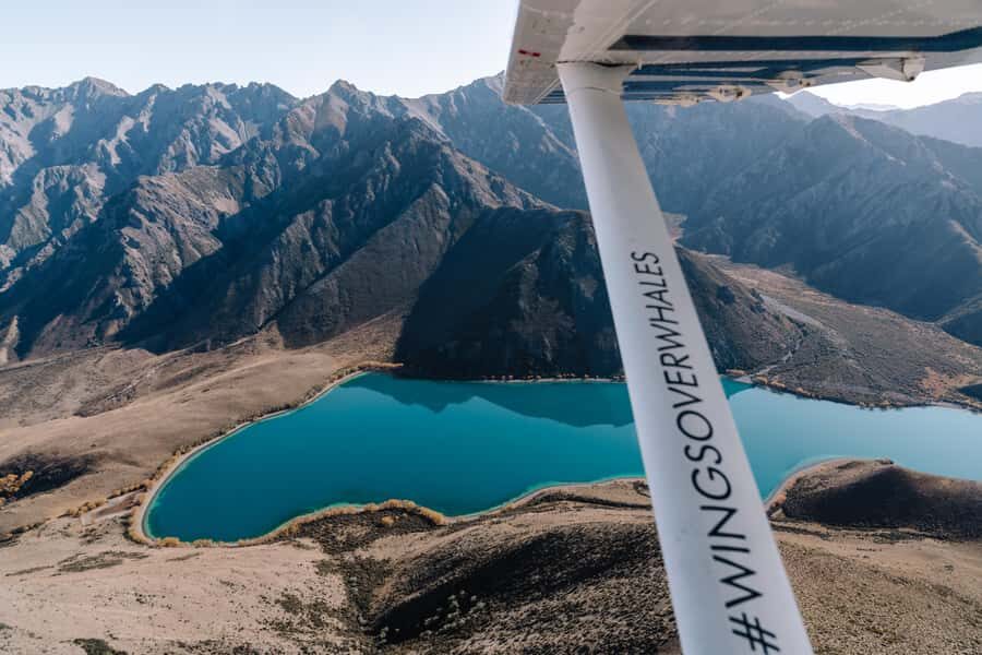Kaikoura: Extended Flight Whale Watching & Mountain Tour - The Flight That Puts Whale Watching in 3D