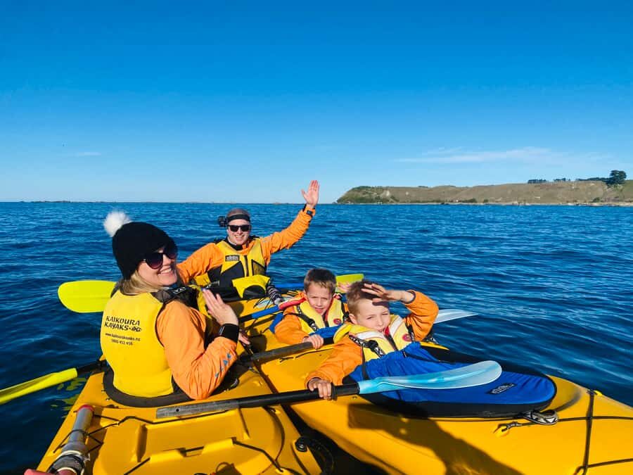 Kaikoura: Guided Family Kayaking Adventure - Wildlife Time: Fur Seals, Birds, and the Chance of Dolphins