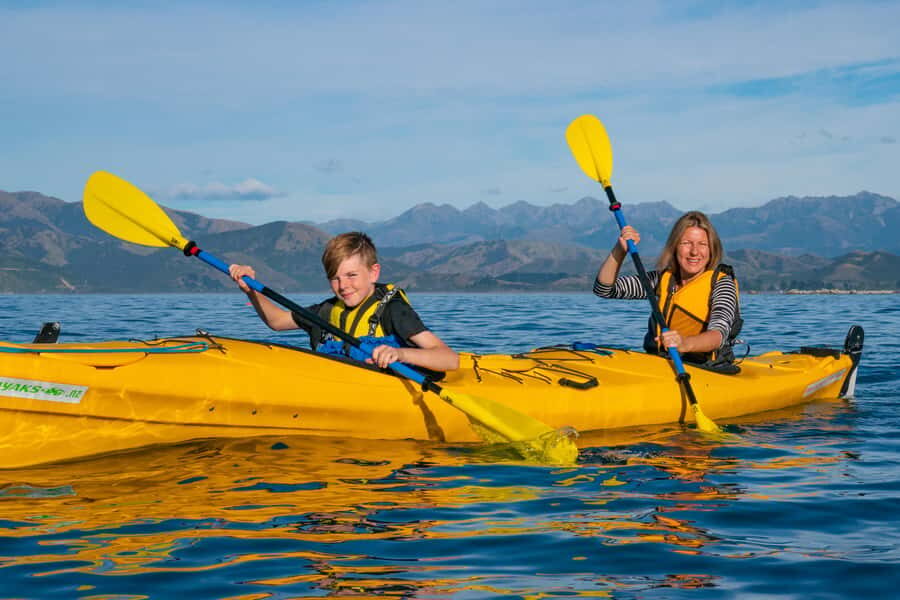 Kaikoura: Guided Family Kayaking Adventure - Price and Value: Why $95 Can Be Worth It