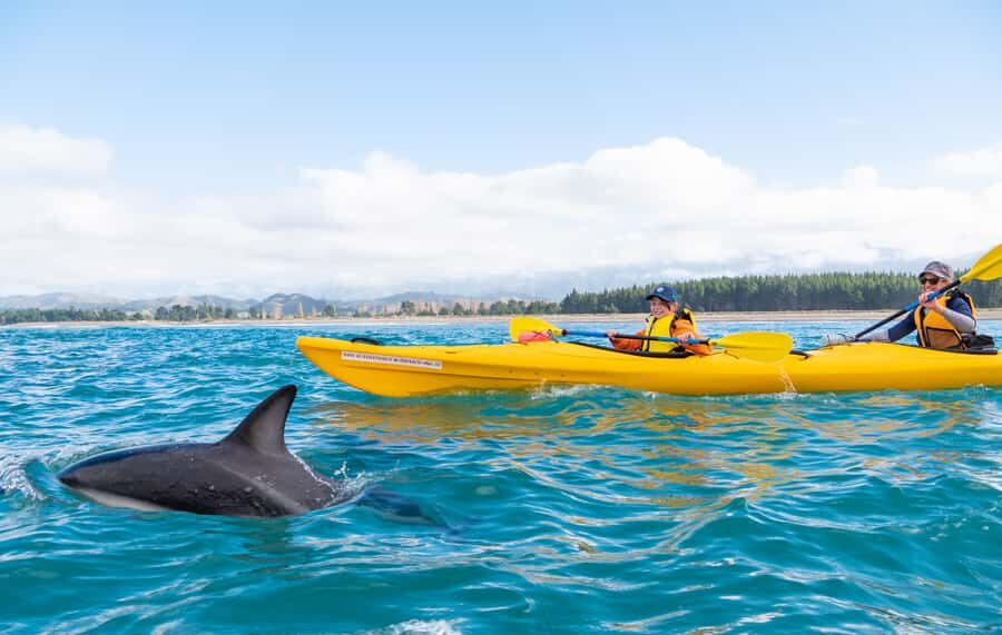 Kaikoura: Guided Family Kayaking Adventure - The 3-Hour Flow: From Briefing to 1.5–2 Hours on the Water