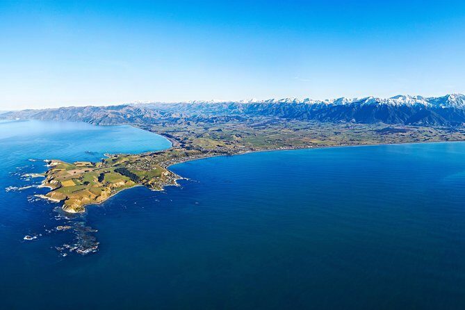 Kaikoura Helicopters Classic Whale Watch - What You’re Most Likely to Spot: Sperm Whales, Humpbacks, Hector’s Dolphins