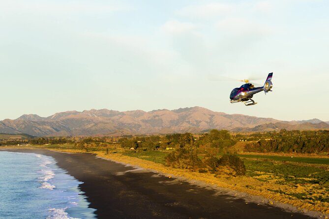 Kaikoura Helicopters Extended Whale Watch - Seeing Whales Further Offshore Than Tourist Boats