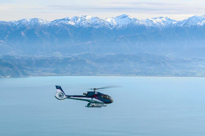 Kaikoura Helicopters Extended Whale Watch - Live Pilot Commentary: When the Flight Becomes a Real-Time Hunt