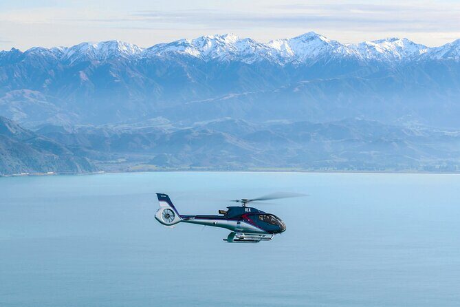 Kaikoura Helicopters Top n Tail Whale Watch flight - Key Points Worth Booking For