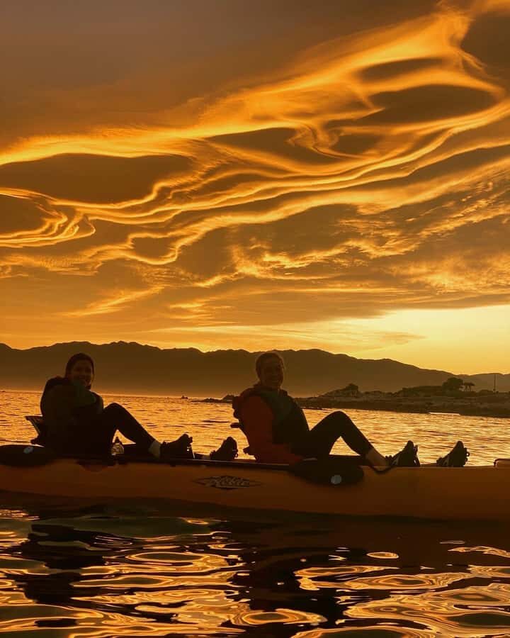 Kaikōura: Kayak Sunset Tour with Seal Sightings - Quick hits before you go